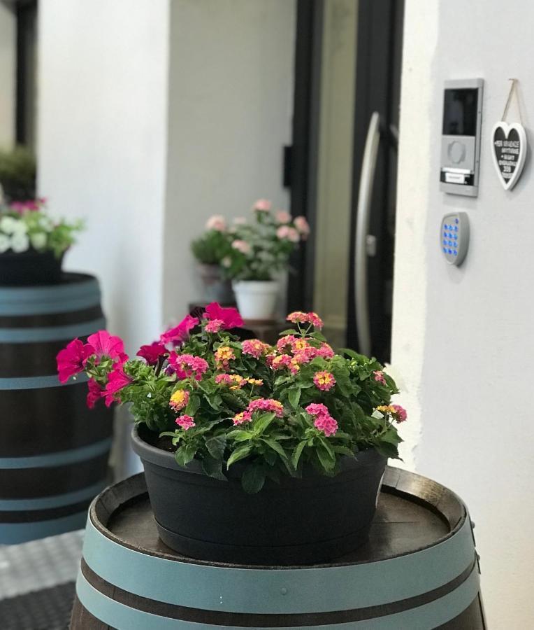 Hotel Monte Cimone Caldonazzo Esterno foto